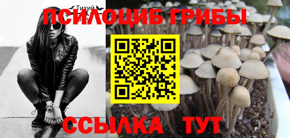 где найти наркотики  Симферополь  Галлюциногенные грибы Cubensis 